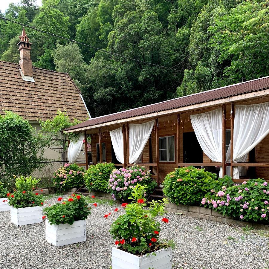 Guest House Ahan Gagra Exteriör bild